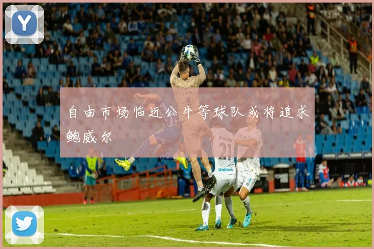 自由市场临近公牛等球队或将追求鲍威尔